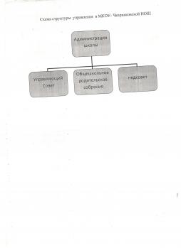  Схема структуры управления образовательной организации